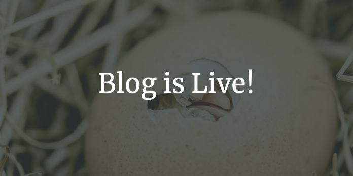 blog-is-live