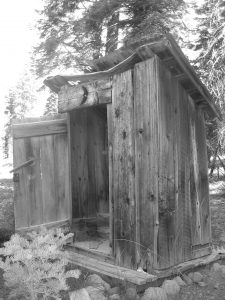 what did people use at the old outhouse before toilet paper was invented