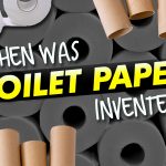 When Was Toilet Paper Invented