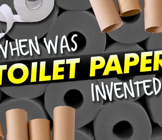 When Was Toilet Paper Invented