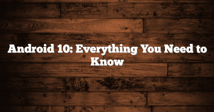 Android 10: Everything You Need to Know Android 10: Everything You Need to Know
