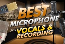 Best Microphone For Vocals And Recording