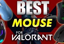 Best Mouse Options For Valorant