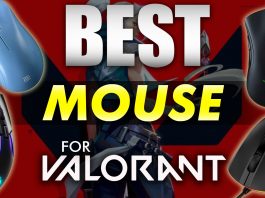 Best Mouse Options For Valorant