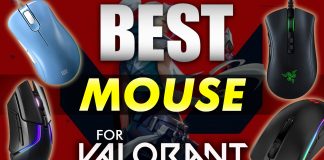 Best Mouse Options For Valorant