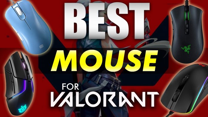 Best Mouse Options For Valorant