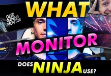 What Monitor Does Ninja Use