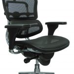 Eurotech Ergohuman High Back Swivel Chair