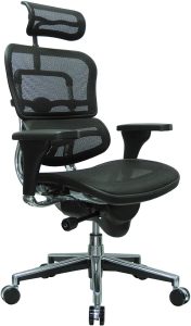 Eurotech Ergohuman High Back Swivel Chair