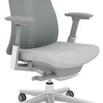 Haworth Fern High Performance Office Chair