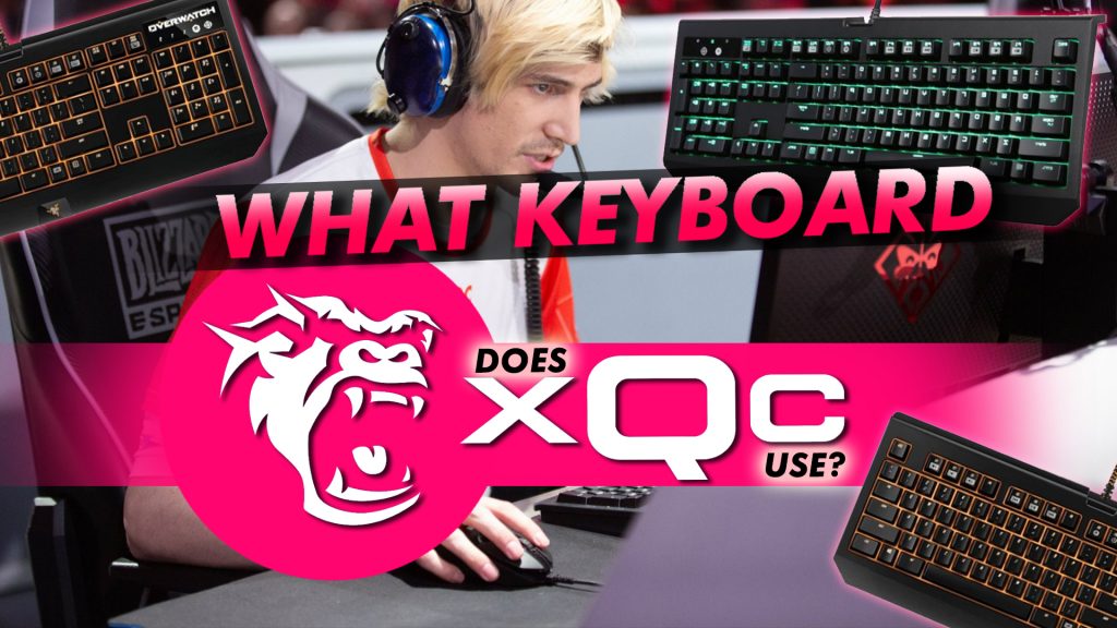 Xqc Keyboard What Keyboard Does Xqc Uses For Overwatch And Streaming Updated March 2021 Hayk Saakian