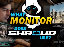 What Monitor Does Shroud Use