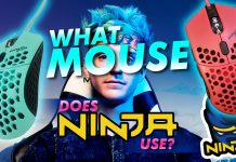 What Mouse Does Ninja Use