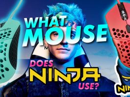 What Mouse Does Ninja Use