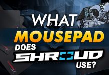 What Mousepad Does Shroud Use