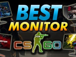 Best Monitor For Csgo