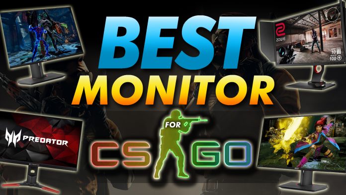 Best Monitor For Csgo