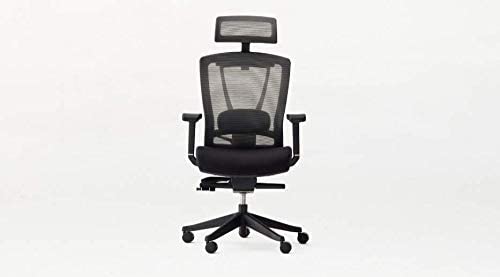 Autonomous Ergo Chair 2