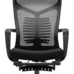 Sihoo Ergonomic High Back Computer Mesh Chair