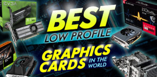 Best Low Profile Graphics Card In The World