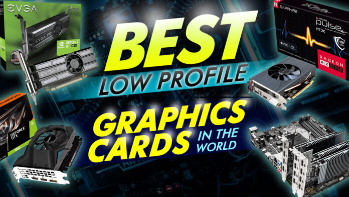 Best Low Profile Graphics Card In The World