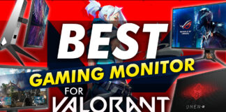 best gaming monitor for valorant in 2022