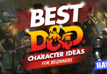 Best D&D Character Ideas for Beginners